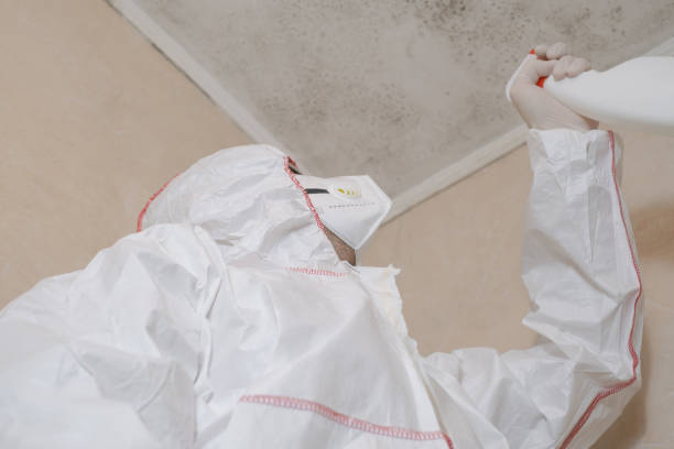 Best Mold Odor Removal Services  in North Syracuse, NY